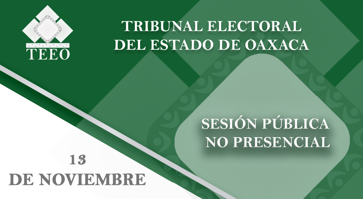 sesión pública no presencial 13 de noviembre 17:00hrs