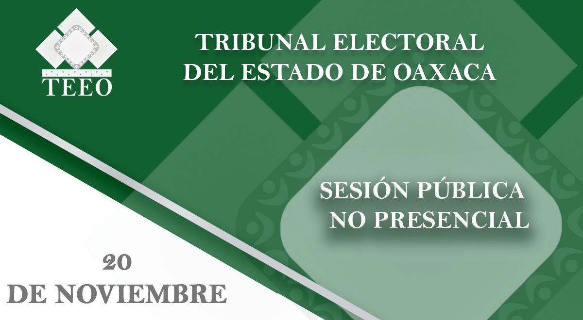 sesión pública no presencial 20 de noviembre