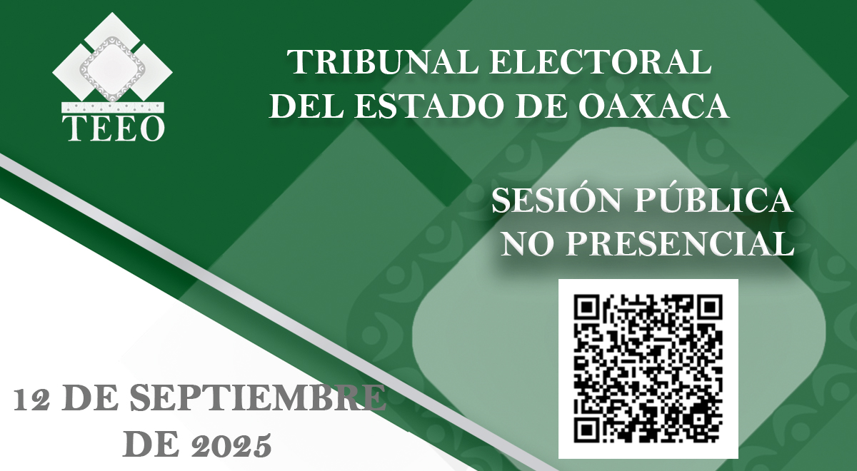 sesión pública presencial no presencial 2025