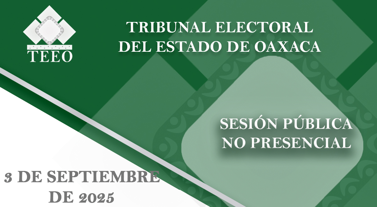 sesión pública no presencial 3 de septiembre