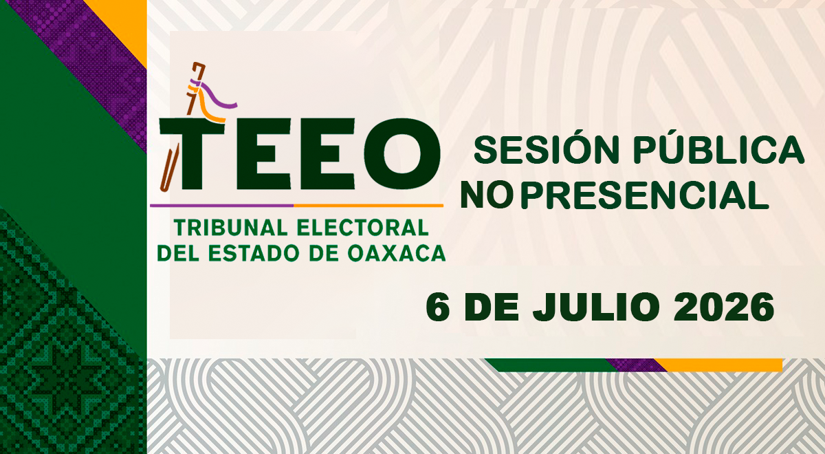 sesión pública no presencial 06072026